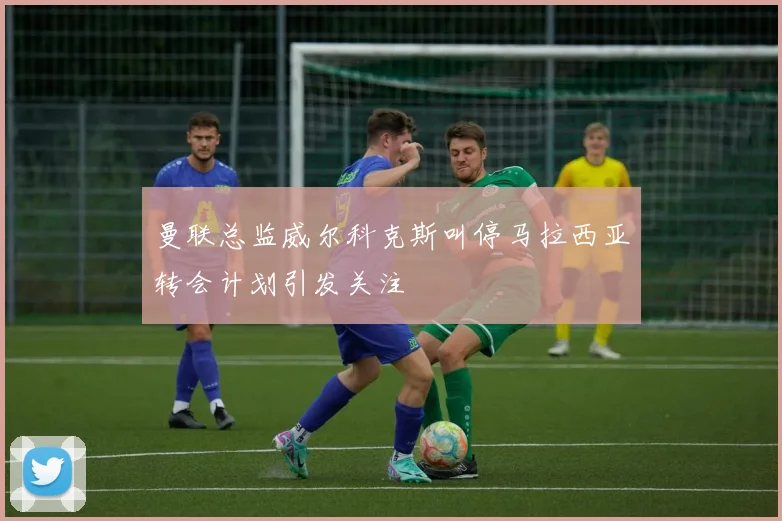 曼联总监威尔科克斯叫停马拉西亚转会计划引发关注