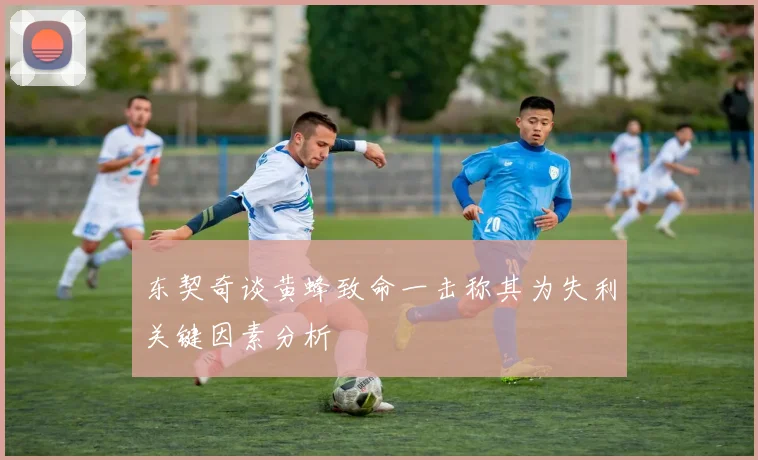 东契奇谈黄蜂致命一击称其为失利关键因素分析